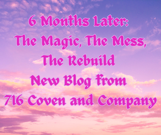 ✨ Six Months Later: The Magic, the Mess, and Rebuild ✨